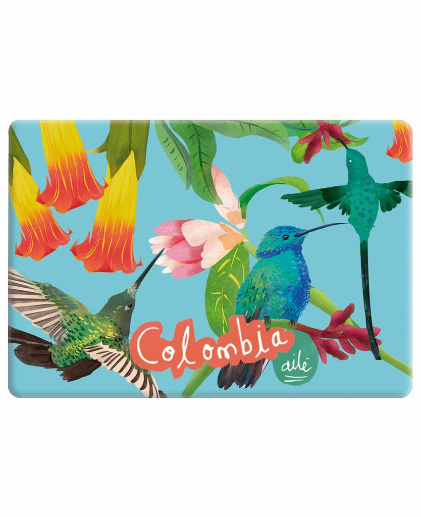 Imán souvenir Colombia ilustración "Colibrí Azul Colombia" — fondo celeste con colibríes en verde esmeralda, azul y amarillo, entre flores tropicales rojas y rosas. El colibrí es uno de los símbolos más icónicos de la biodiversidad colombiana imán biodiversidad colombiana, imán turístico Colombia, Colombian fauna magnet souvenir, imán regalo colombia, souvenir colombiano imán nevera, imán refrigerador colombiano, Colombian illustrated fridge magnet, recuerdo viaje Colombia imán, comprar imán souvenir. Ailé
