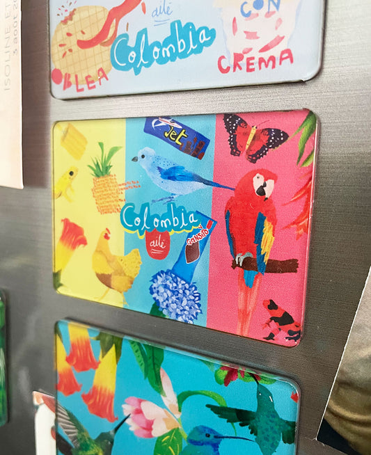 Imán Colores de mi Tierra