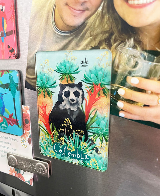 Imán Oso de Anteojos