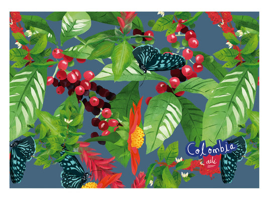 Individual de tela impermeable, ilustrado con caficultor y cosecha de café del Eje Cafetero colombiano, Paisaje Cultural Cafetero UNESCO, recuerdo paisaje cafetero,regalo colombiano para el hogar, individual ecológico colombiano, detalle colombiano para la mesa, individuales de mesa colombianos, individual tela reciclada Colombia, individuales ilustrados Colombia, individual sostenible con diseño colombiano, individual hecho con botellas recicladas Colombia.Aile