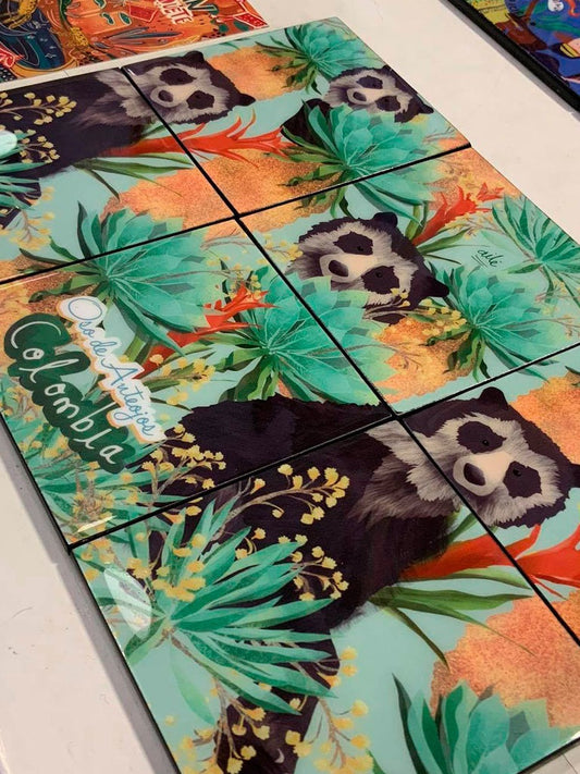 Portavasos Oso de Anteojos