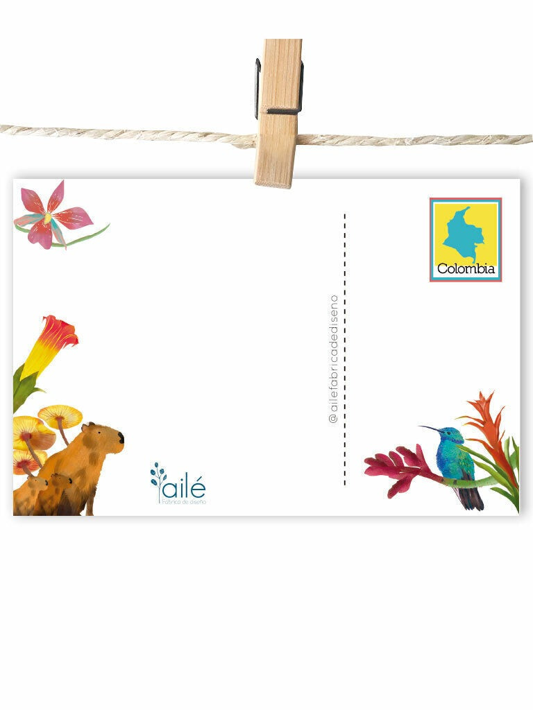 Reverso de postal viajera de Colombia con espacio para mensaje dónde comprar postales colombianas ilustradas, postal ilustración naturalista, tarjeta postal sostenible, postales de paisajes colombianos, postal decorativa flores, postal cultura colombiana, miniprints de la biodiversidad de colombia, postal impresa papel reciclado, papelería ecológica colombiana, postal souvenir Colombia, postales souvenir hechas en Colombia, postal identidad colombiana. Ailé