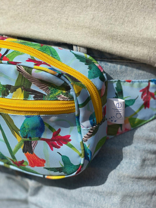 Canguro Colibrí
