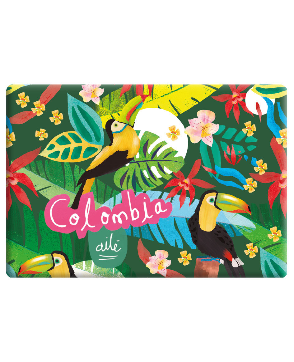 Imán souvenir Colombia  ilustrado con tucanes colombianos en selva tropical, flores tropicales y biodiversidad  — regalo colombiano fauna silvestre, tucán colombiano, fauna tropical Colombia, aves de Colombia ilustradas souvenir imán Colombia, recuerdo de Colombia imán, imán biodiversidad colombiana, imán turístico Colombia, Colombian fauna magnet souvenir, imán regalo colombiano, souvenir colombiano imán nevera, imán refrigerador colombiano, Colombian illustrated fridge magnet, recuerdo viaje Colombia.Ailé