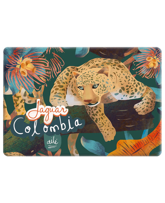 Imán Jaguar