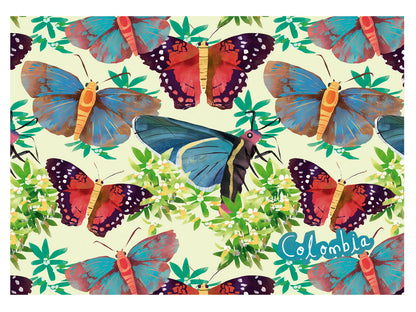 Set de individuales, diseño mariposa monarca colombiana ilustrada — Colombia país de mayor diversidad de mariposas, souvenir colombiano, regalo para extranjeros, regalo mariposas colombianas, mariposas de Colombia, mariposa monarca colombiana, regalo colombiano para el hogar, individual ecológico colombiano, detalle colombiano para la mesa, individuales de mesa colombianos, individual tela reciclada Colombia, individuales ilustrados Colombia, individual sostenible con diseño colombiano.Aile