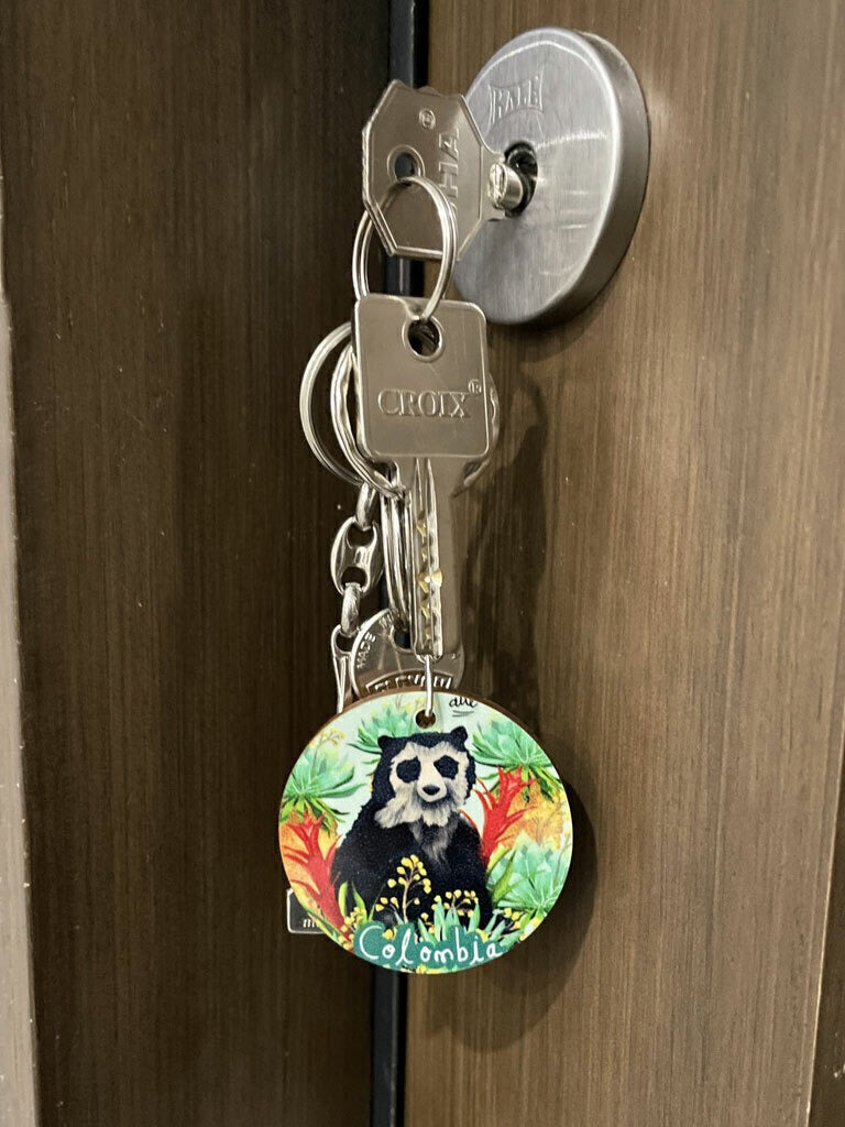 Llavero de madera, oso de anteojos 100% ilustrada — guardián del páramo, naturaleza, bosque, heliconias, frailejones  y biodiversidad, frailejones andinos colombianos souvenir colombiano, regalo oso anteojos colombiano, spectacled bear Colombia gift, Andean bear souvenir, llavero decorativo Colombia, regalo llavero colombiano viaje, llavero colombiano ilustrado, souvenir Colombia llavero turista, llavero regalo Día del Padre Colombia.Ailé