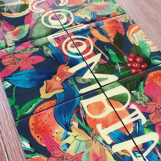 Set de 6 portavasos, ilustrado "Sabrosura" con frutas tropicales, aves, flor de mayo, heliconias, cattleya, zona cafetera y pueblo colombiano — regalo colombiano sabor y cultura, vallenato colombiano, acordeón Colombia ilustrado, cultura caribe colombiana, portavasos ilustrados colombia, portavasos diseño colombiano, portavasos colombianos, decoración hogar, set de portavasos colombianos, portavasos de resina.aile