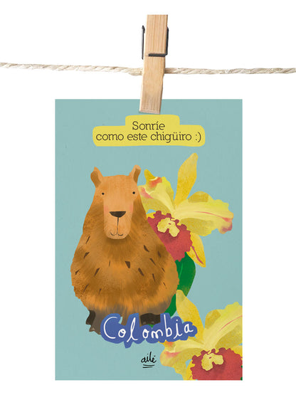 Postal Chigüiros