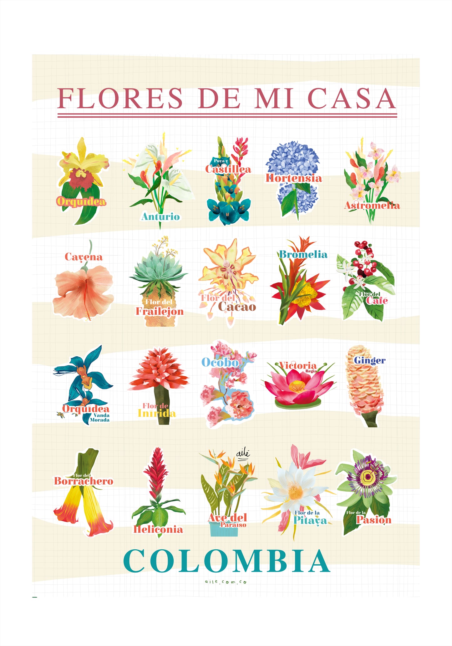 Una guía visual de las flores que hacen parte de nuestros hogares y jardines colombianos. Este póster reúne distintas especies desde la cayena y el frailejón hasta la orquídea, cada una identificada por su nombre, en un estilo ilustrado tipo lámina botánica vintage. Perfecto para decorar con identidad: una pared, un rincón de lectura, o cualquier espacio que quieras llenar de color y naturaleza colombiana, póster para decorar sala
arte pared botánico decoración hogar identidad colombiana. Ailé