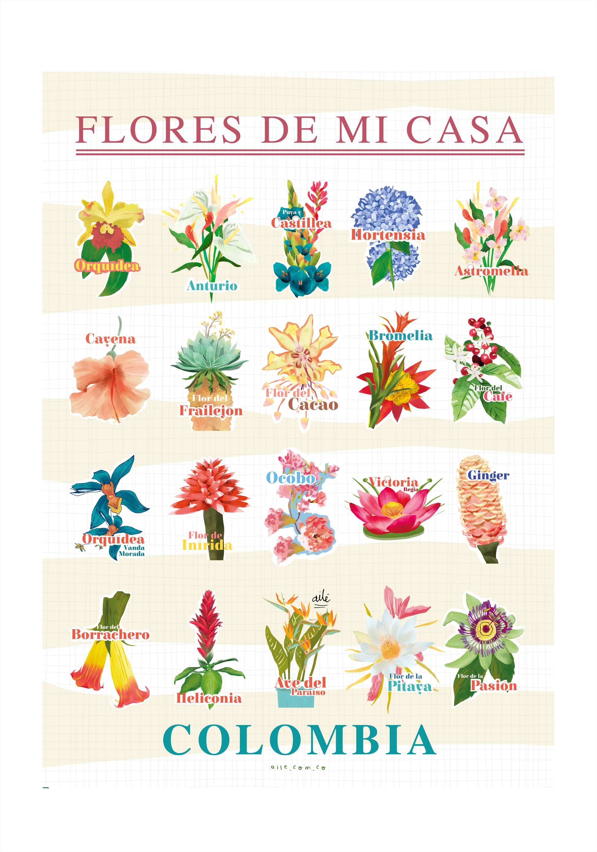 Una guía visual de las flores que hacen parte de nuestros hogares y jardines colombianos. Este póster reúne distintas especies desde la cayena y el frailejón hasta la orquídea, cada una identificada por su nombre, en un estilo ilustrado tipo lámina botánica vintage. Perfecto para decorar con identidad: una pared, un rincón de lectura, o cualquier espacio que quieras llenar de color y naturaleza colombiana, póster para decorar sala
arte pared botánico decoración hogar identidad colombiana. Ailé