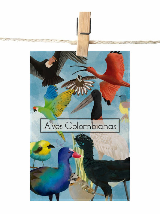 Detalle ilustrado con aves colombianas, Condor, aguila del páramo, guacamaya verde, tingua azul, paujil de pico azul, copetón, corocora, colibrí y garzón soldado,  aves nativas de Colombia, aves tropicales Colombia souvenir, postal para enviar Colombia, sustainable paper postcard Colombia, tarjeta postal recuerdo Colombia, postal coleccionable colombiana, Colombian souvenir postcard, tarjetas postales colombianas online, postal souvenir Colombia fauna, postales souvenir hechas en Colombia. Ailé