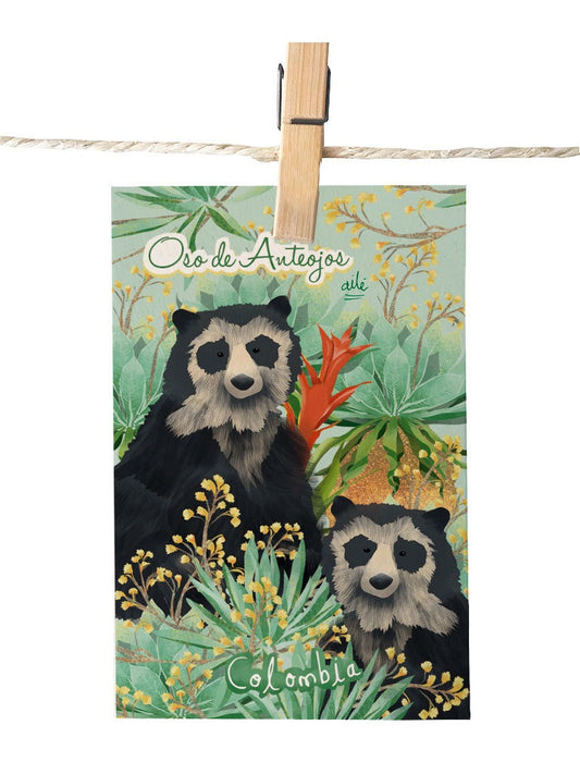 Detalle de ilustración oso de anteojos 100% ilustrada, guardián del páramo, naturaleza, bosque, heliconias, frailejones  y biodiversidad, frailejones andinos colombianos souvenir colombiano, regalo oso anteojos colombiano, postal para enviar Colombia, sustainable paper postcard Colombia, tarjeta postal recuerdo Colombia, postal coleccionable colombiana, Colombian souvenir postcard, tarjetas postales colombianas online, postal souvenir Colombia fauna, postales souvenir hechas en Colombia. Ailé